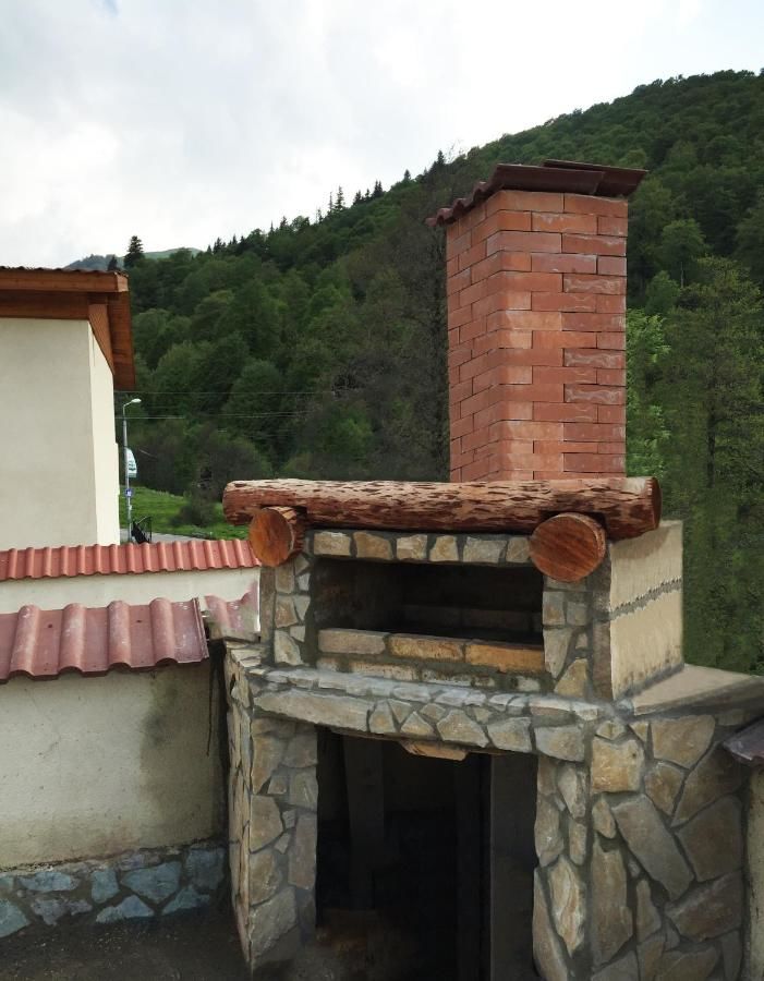 Дома для отпуска Iberia Bakuriani Houses Бакуриани