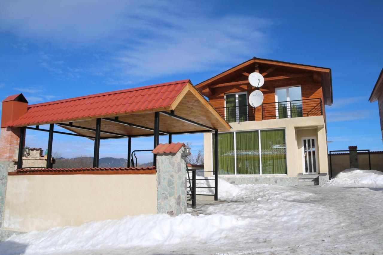 Дома для отпуска Iberia Bakuriani Houses Бакуриани