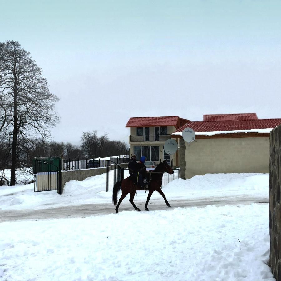 Дома для отпуска Iberia Bakuriani Houses Бакуриани