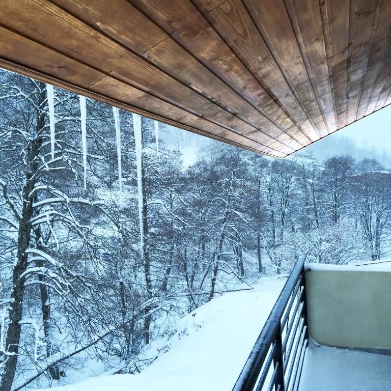 Дома для отпуска Iberia Bakuriani Houses Бакуриани