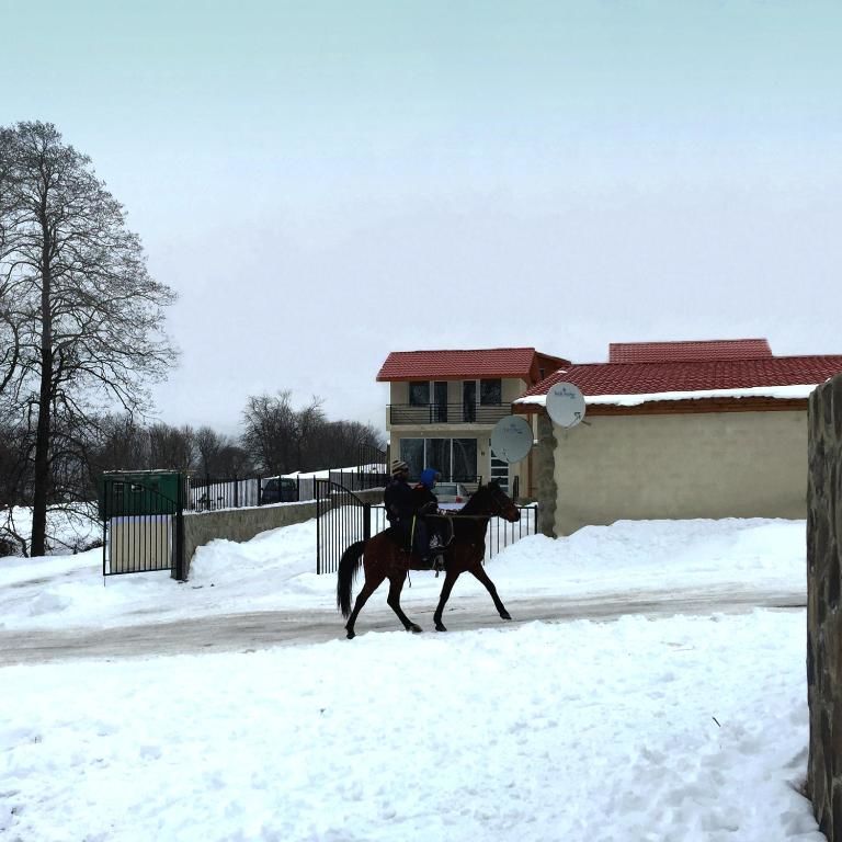 Дома для отпуска Iberia Bakuriani Houses Бакуриани