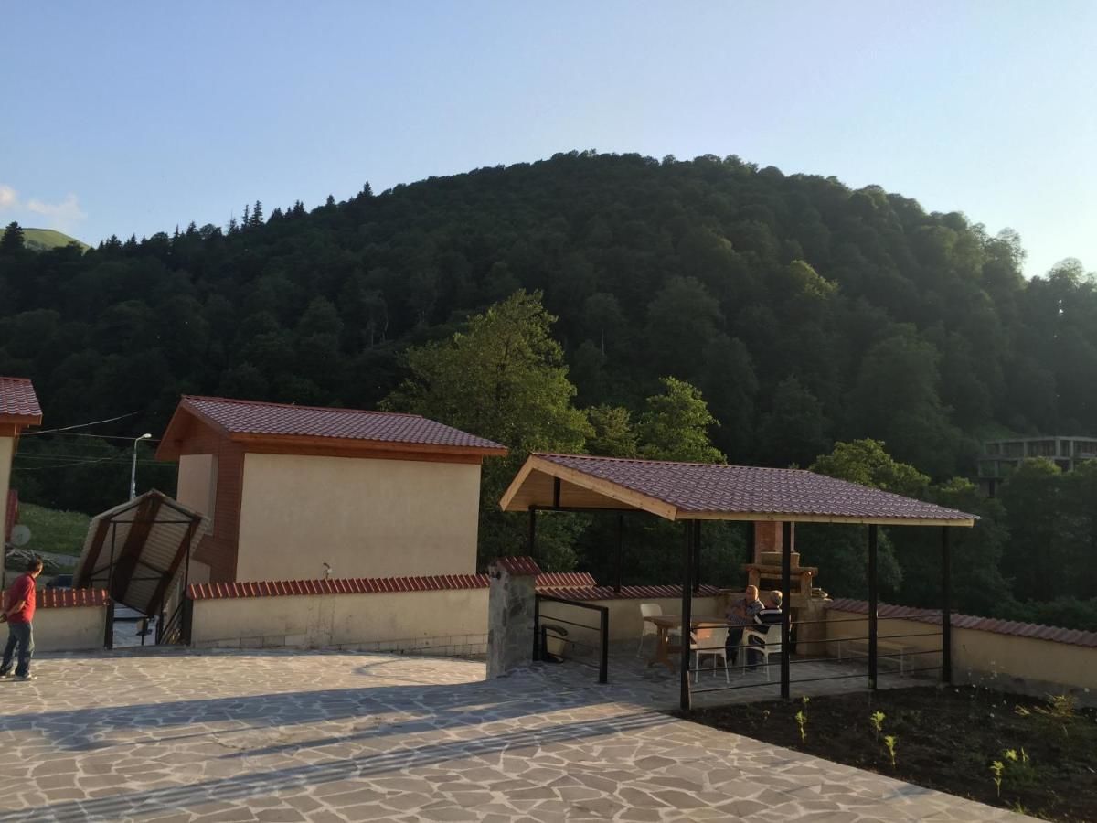 Дома для отпуска Iberia Bakuriani Houses Бакуриани