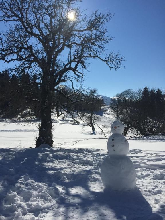 Дома для отпуска Iberia Bakuriani Houses Бакуриани