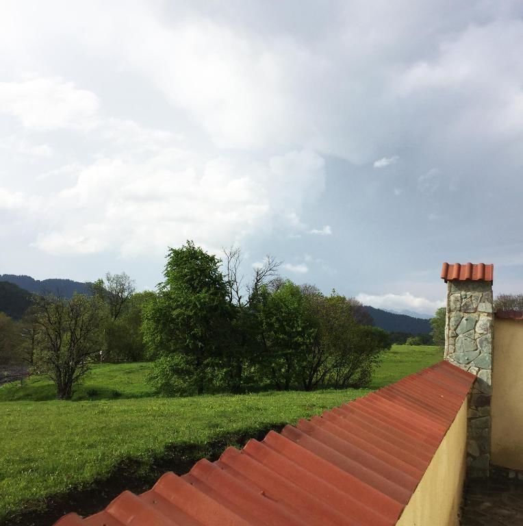 Дома для отпуска Iberia Bakuriani Houses Бакуриани