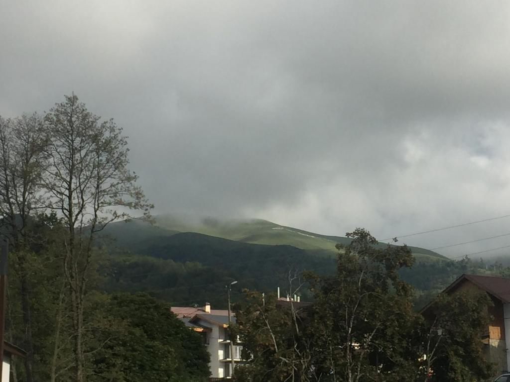 Дома для отпуска Iberia Bakuriani Houses Бакуриани