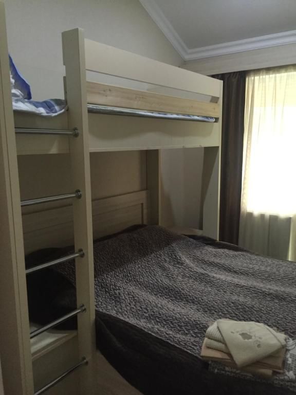 Дома для отпуска Iberia Bakuriani Houses Бакуриани