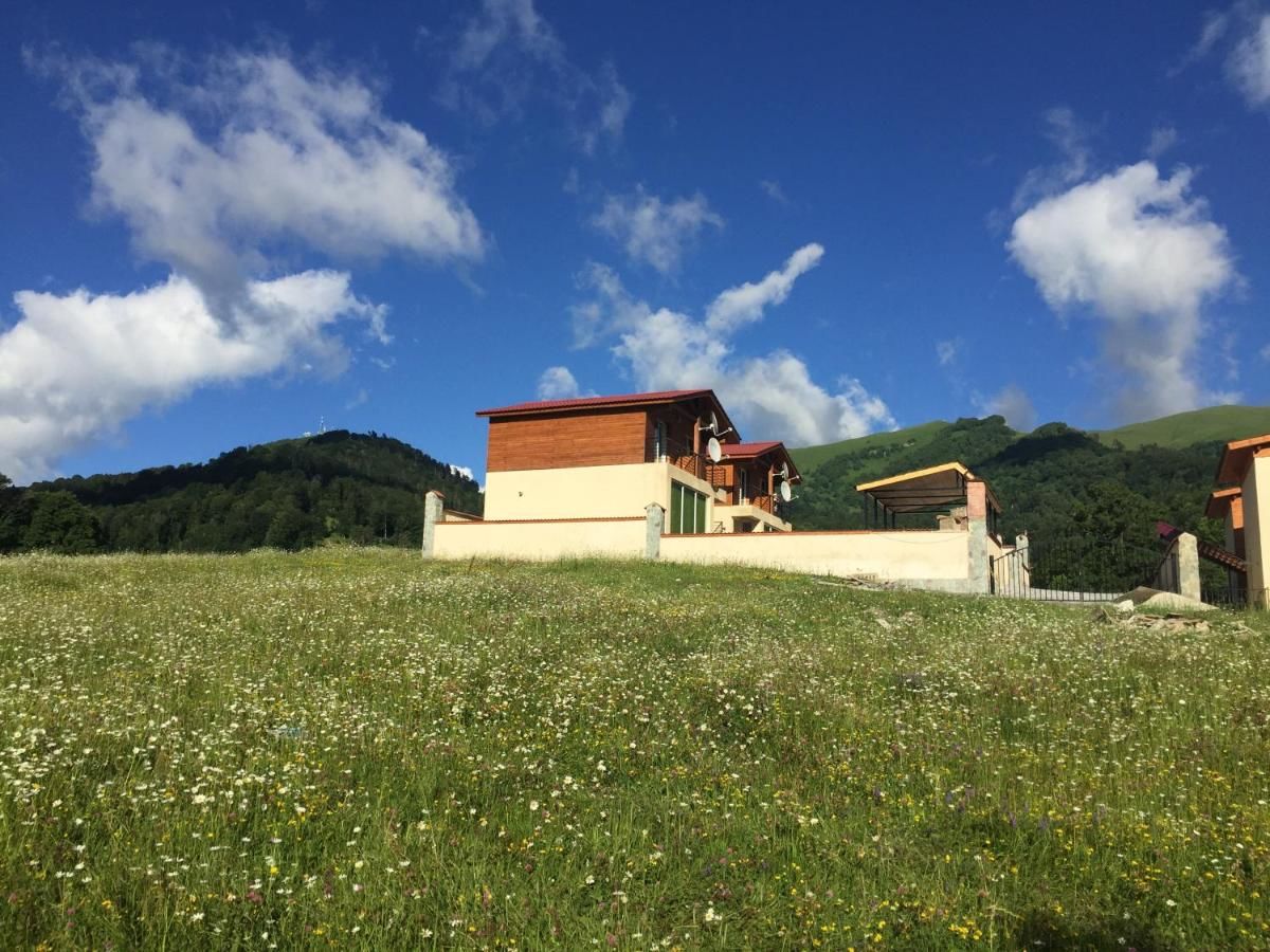 Дома для отпуска Iberia Bakuriani Houses Бакуриани